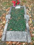 image of grave number 173049