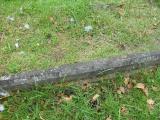 image of grave number 173113