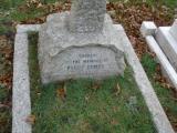image of grave number 36274