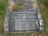 image of grave number 79078
