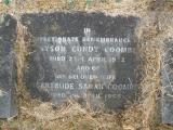 image of grave number 79041