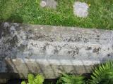 image of grave number 511075