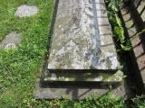 image of grave number 511075