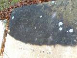 image of grave number 54160