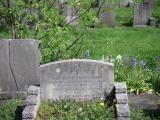 image of grave number 28115