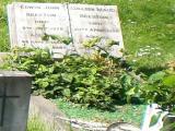 image of grave number 24921