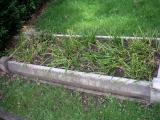 image of grave number 24652