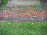 image of grave number 24659