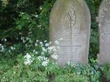 image of grave number 41506