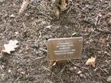 image of grave number 118156