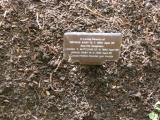 image of grave number 118166