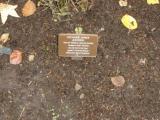image of grave number 118170