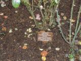 image of grave number 118173