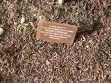 image of grave number 118179
