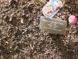 image of grave number 118196