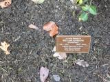 image of grave number 118067