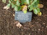 image of grave number 118209