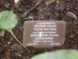 image of grave number 118236