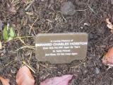 image of grave number 118073