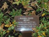 image of grave number 118261