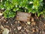 image of grave number 118300