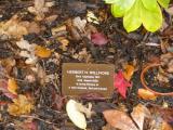 image of grave number 118323