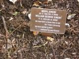 image of grave number 118326