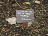 image of grave number 118327