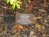 image of grave number 118334