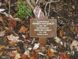 image of grave number 118336
