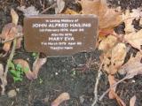 image of grave number 118343