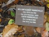 image of grave number 118369