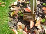 image of grave number 118398