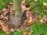 image of grave number 118402