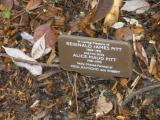 image of grave number 118417