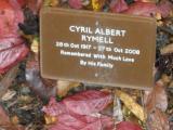 image of grave number 118436
