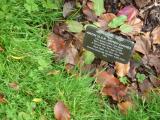 image of grave number 118444