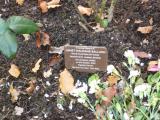 image of grave number 118056
