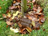 image of grave number 118449