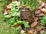 image of grave number 118450