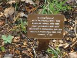 image of grave number 118479