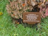 image of grave number 118542