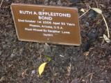 image of grave number 118554