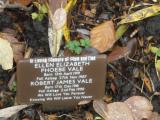 image of grave number 118573