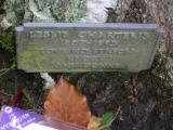 image of grave number 118111