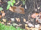 image of grave number 118059