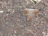 image of grave number 118128