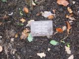image of grave number 118061