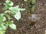 image of grave number 118143