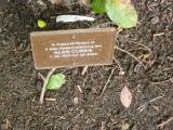 image of grave number 118145